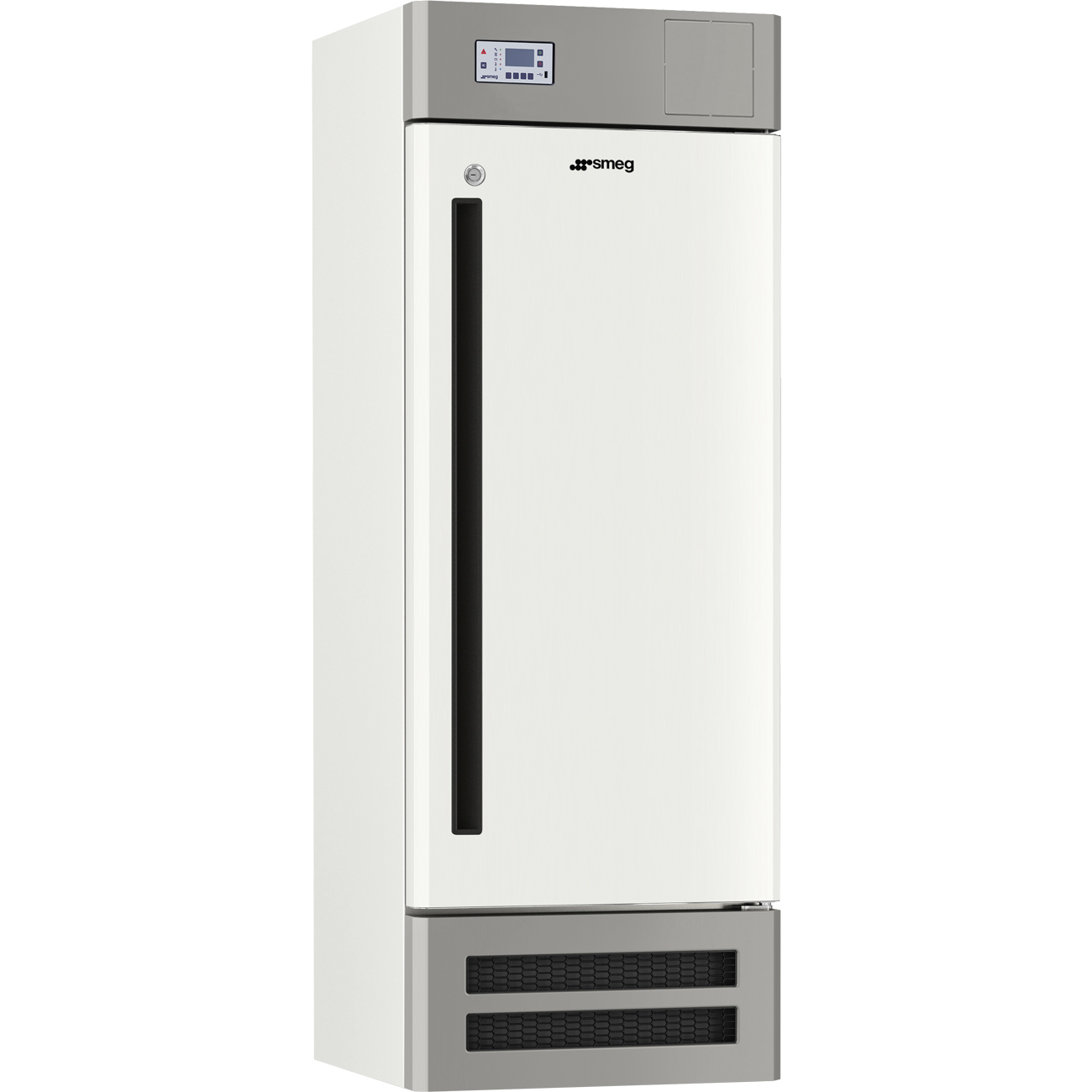 Professional Freezers (C30S25C1A)