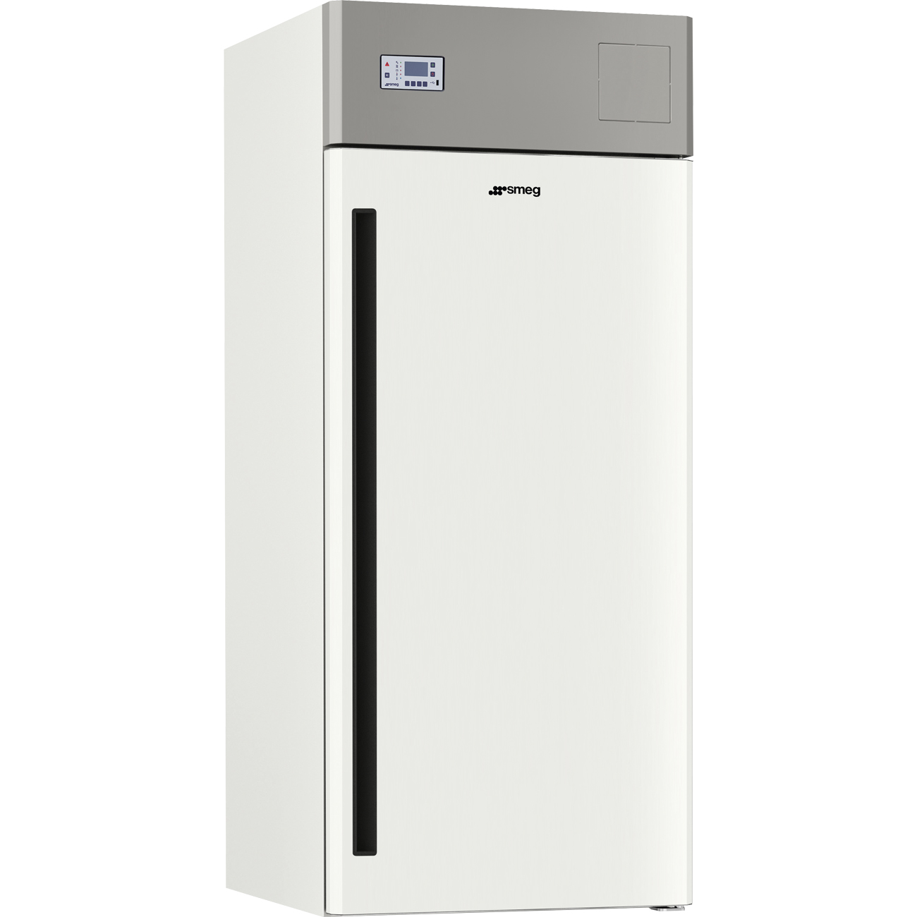 Professional Freezers (C40S60C1A)