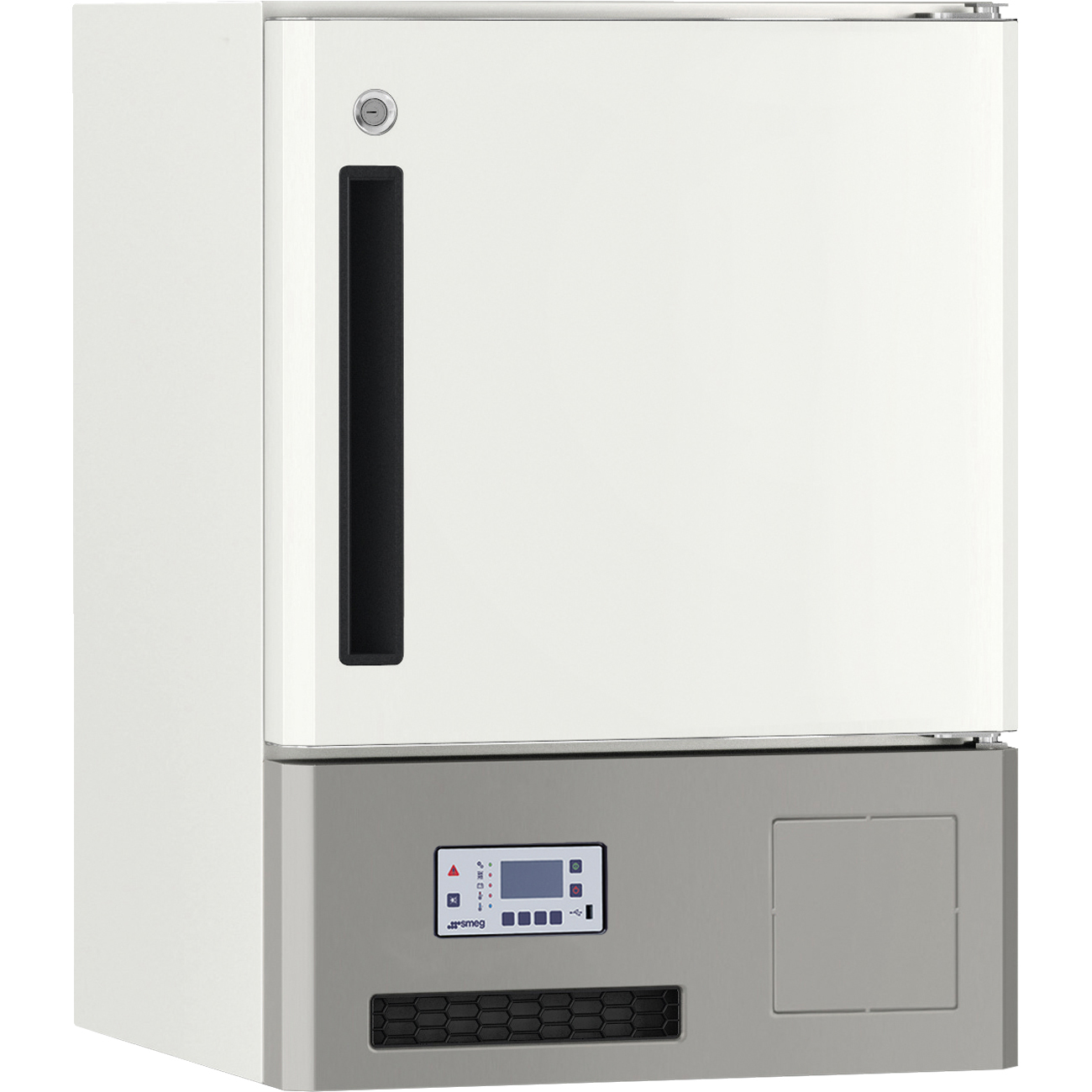 Professional Freezers (C20V10C1A)