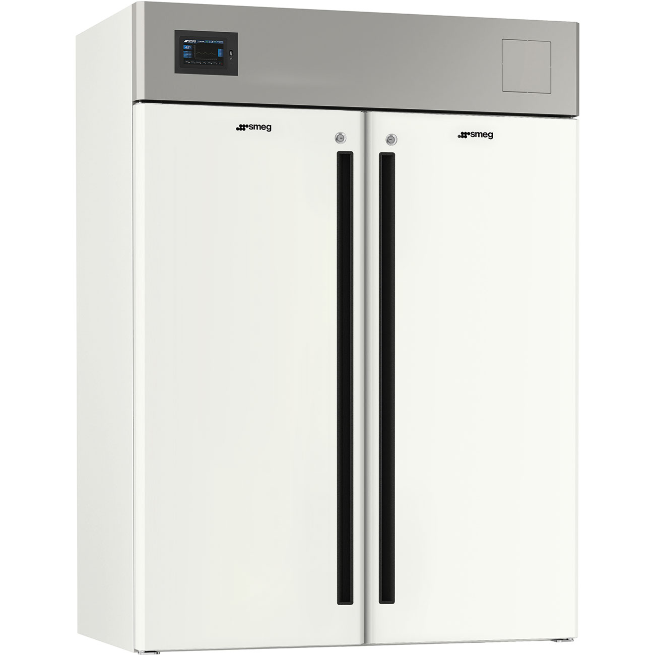 Professional Freezers (C25V140C2EVO)